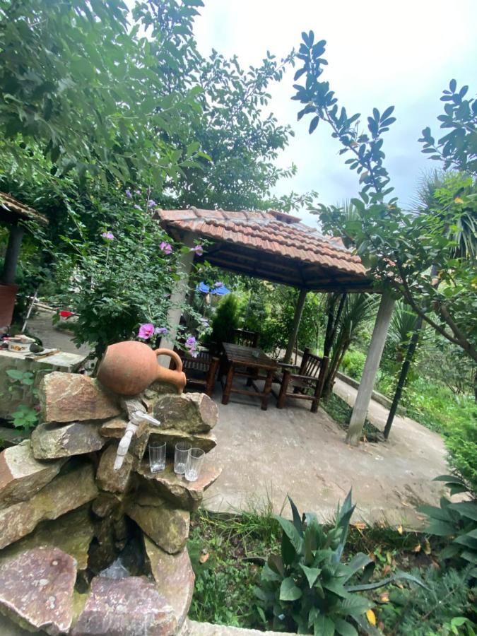 Holiday House Chkonia Batumi Exterior photo