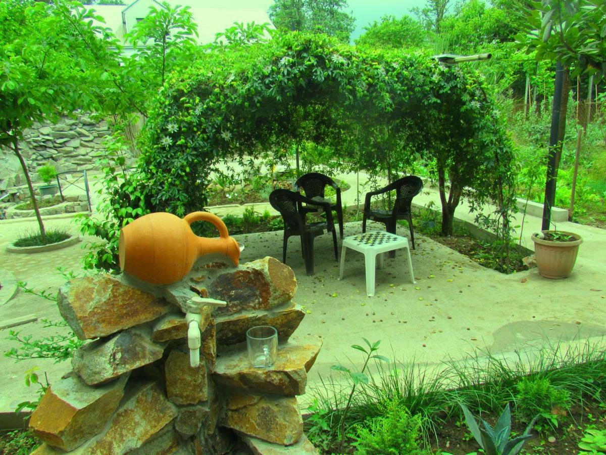 Holiday House Chkonia Batumi Exterior photo