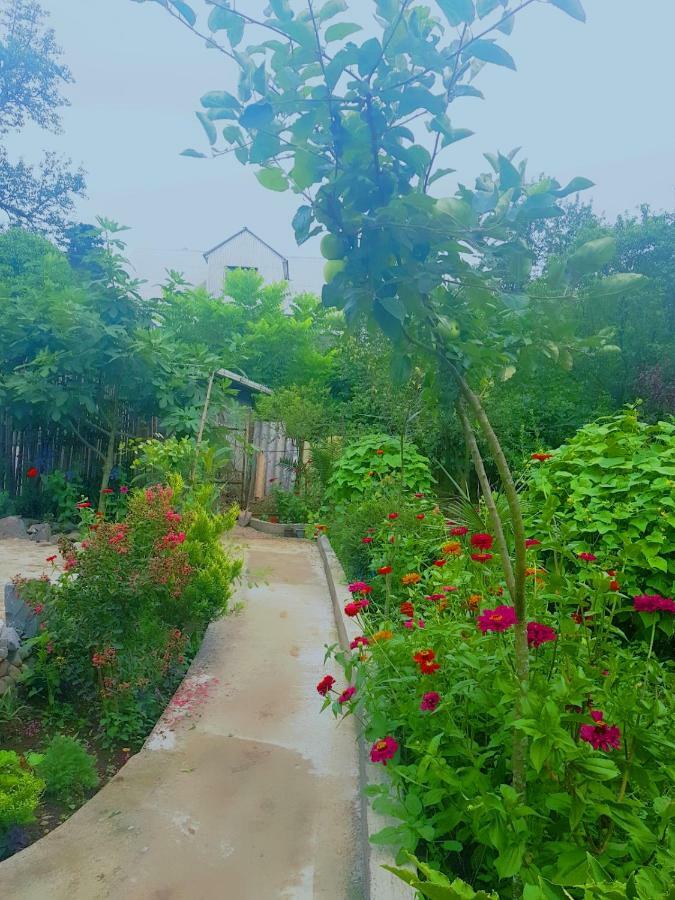 Holiday House Chkonia Batumi Exterior photo